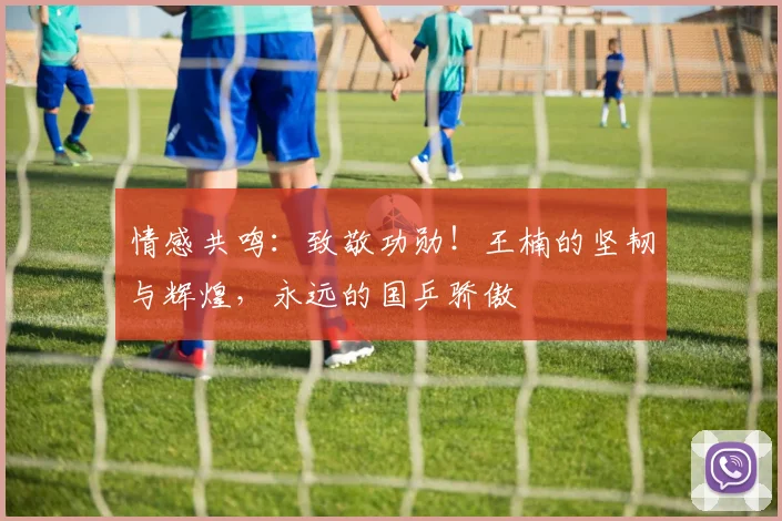 情感共鸣:致敬功勋!王楠的坚韧与辉煌,永远的国乒骄傲
