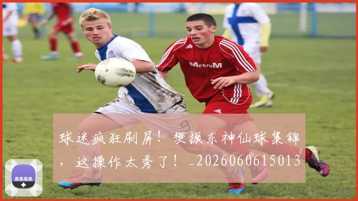 球迷疯狂刷屏！樊振东神仙球集锦，这操作太秀了！_20260606150137