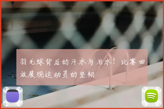 羽毛球背后的汗水与泪水！比赛回放展现运动员的坚韧