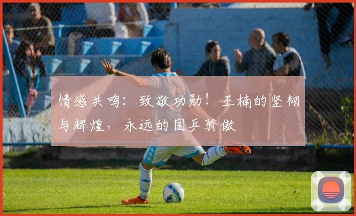情感共鸣：致敬功勋！王楠的坚韧与辉煌，永远的国乒骄傲